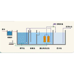 用水指标集中池破解水权交易“老大难三亿体育官网”问题